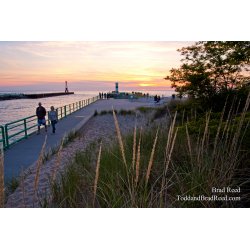 Brad Reed\'s Day 148 of 365 