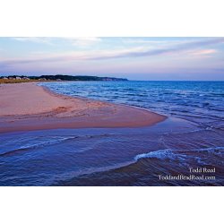 Todd Reed\'s Day 152 of 365 