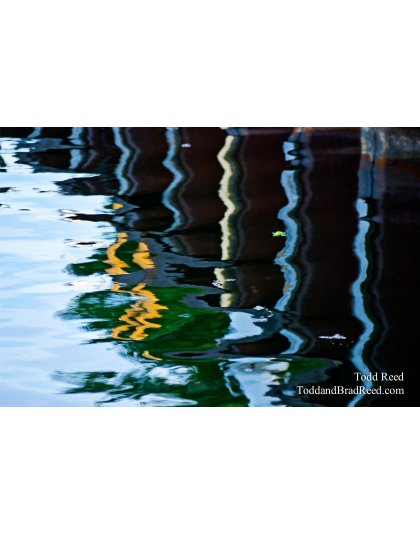 Todd Reed's Day 154 of 365 