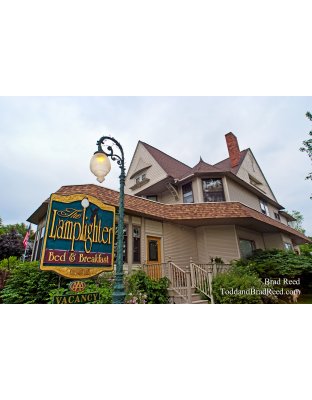 Brad Reed's Day 155 of 365 