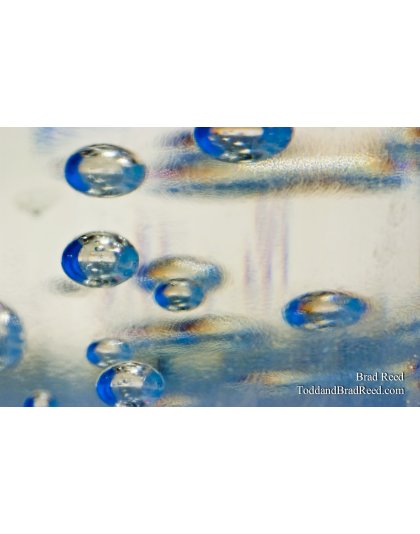 Brad Reed's Day 159 of 365 