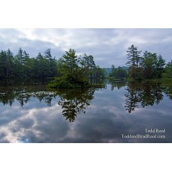 Todd Reed\'s Day 160 of 365 