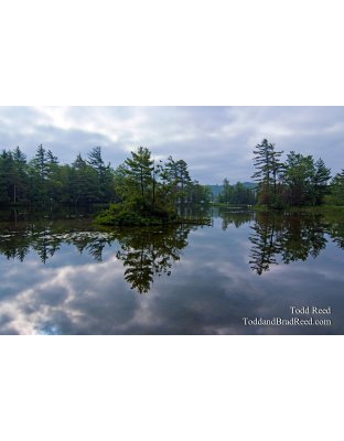 Todd Reed's Day 160 of 365 