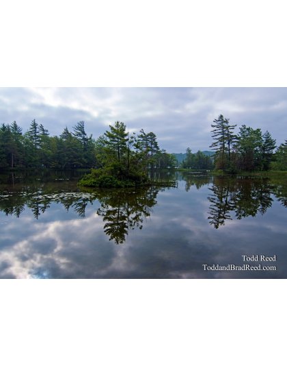 Todd Reed's Day 160 of 365 