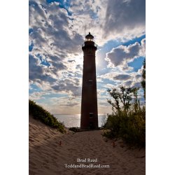 Brad Reed\'s Day 160 of 365 