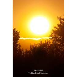 Brad Reed\'s Day 161 of 365 