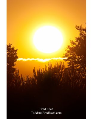 Brad Reed's Day 161 of 365 