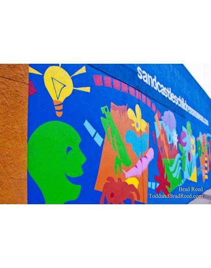 Brad Reed's Day 166 of 365 