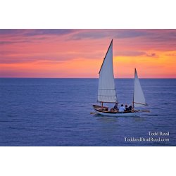 Todd Reed\'s Day 167 of 365 