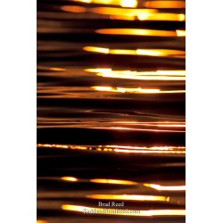 Brad Reed\'s Day 167 of 365 