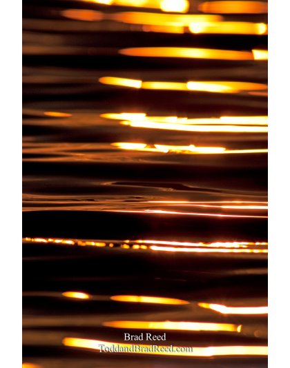 Brad Reed's Day 167 of 365 