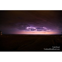 Todd Reed\'s Day 172 of 365 