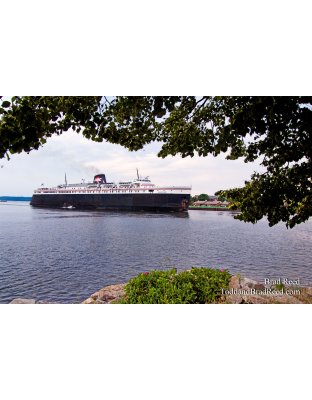 Brad Reed's Day 172 of 365 