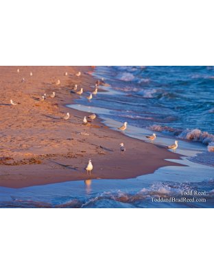 Todd Reed's Day 173 of 365 