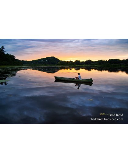 Brad Reed's Day 174 of 365 