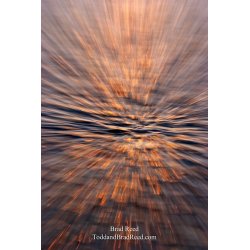 Brad Reed\'s Day 177 of 365 