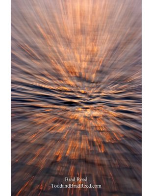 Brad Reed's Day 177 of 365 