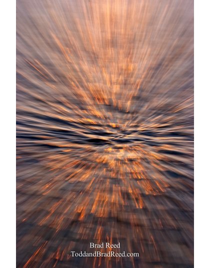 Brad Reed's Day 177 of 365 