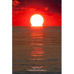 Brad Reed\'s Day 180 of 365 