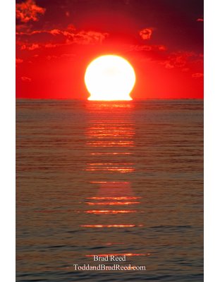 Brad Reed's Day 180 of 365 