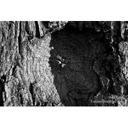 Brad Reed\'s Day 181 of 365 