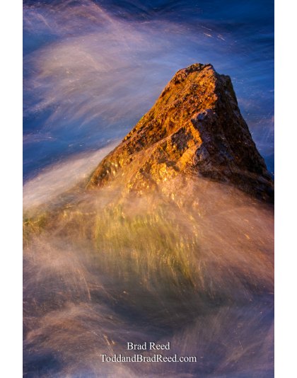 Brad Reed's Day 182 of 365 