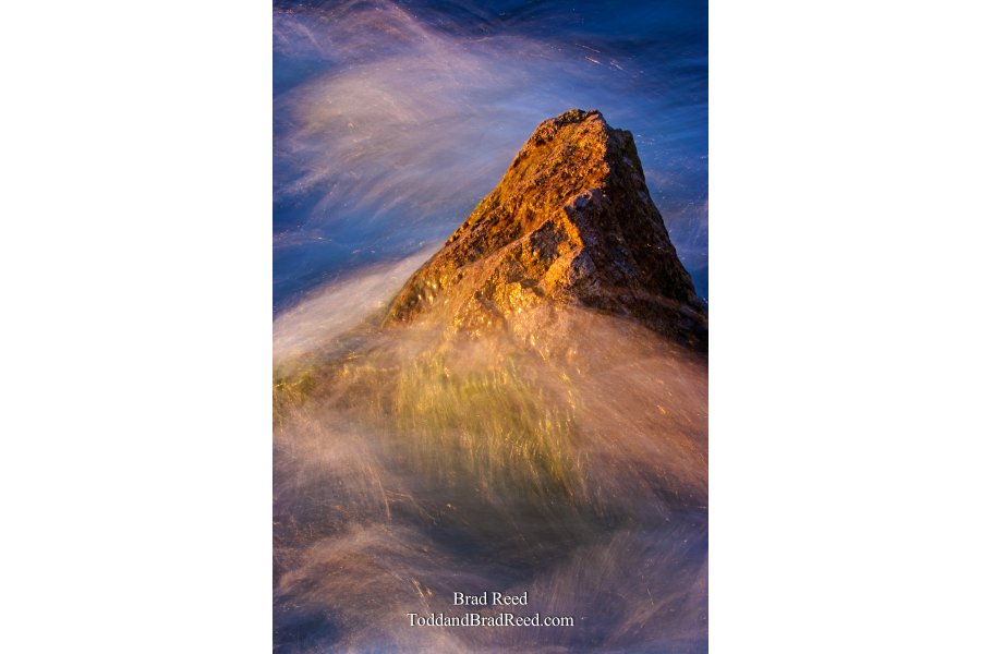 Brad Reed's Day 182 of 365 