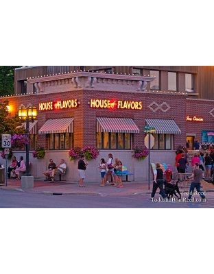 Todd Reed's Day 183 of 365 