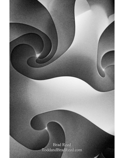 Brad Reed's Day 183 of 365 