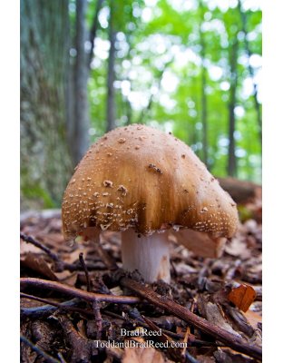 Brad Reed's Day 186 of 365 