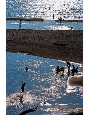 Todd Reed's Day 187 of 365 