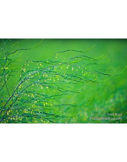 Todd Reed's Day 189 of 365 