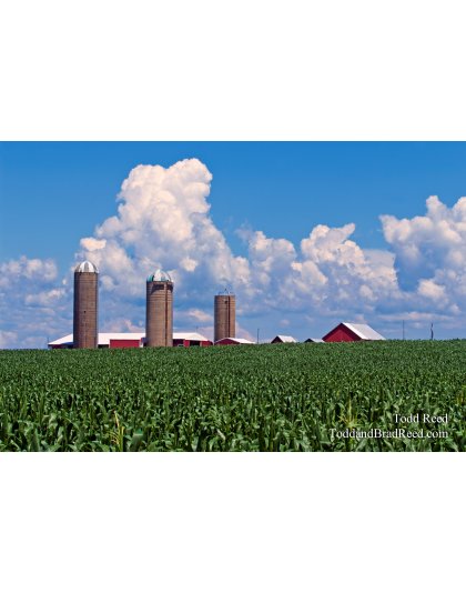 Todd Reed's Day 190 of 365 