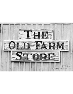 Todd Reed's Day 195 of 365 