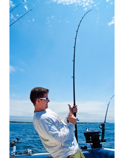 Brad Reed's Day 196 of 365 