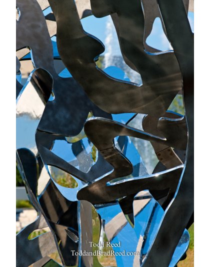 Todd Reed's Day 198 of 365 