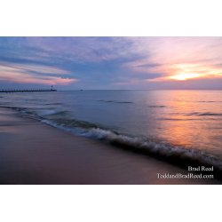 Brad Reed\'s Day 198 of 365 