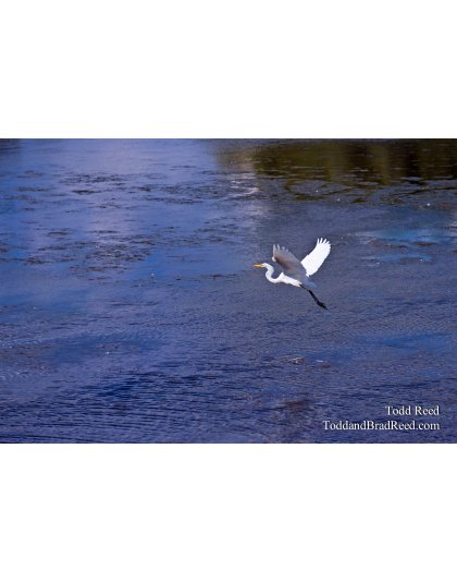 Todd Reed's Day 199 of 365 