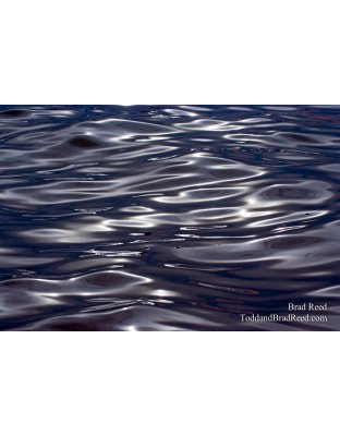 Brad Reed's Day 200 of 365 