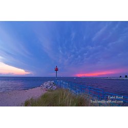 Todd Reed\'s Day 201 of 365 