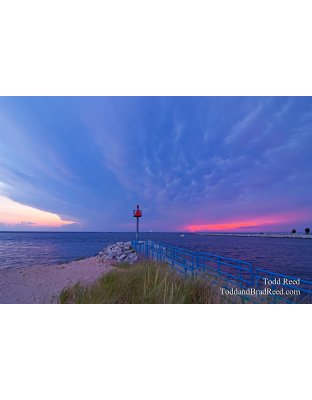 Todd Reed's Day 201 of 365 