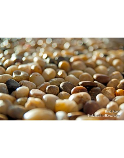 Brad Reed's Day 202 of 365 