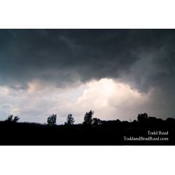 Todd Reed\'s Day 203 of 365