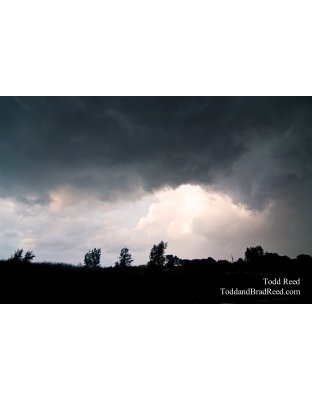 Todd Reed's Day 203 of 365