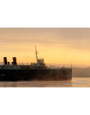 Brad Reed's Day 203 of 365 