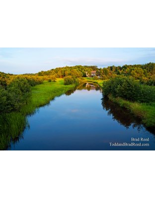 Brad Reed's Day 204 of 365 