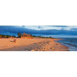 Todd Reed\'s Day 205 of 365 
