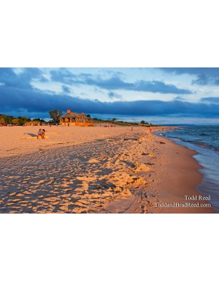 Todd Reed's Day 205 of 365 