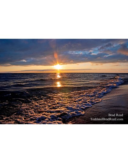 Brad Reed's Day 205 of 365 