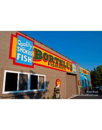 Brad Reed's Day 206 of 365 